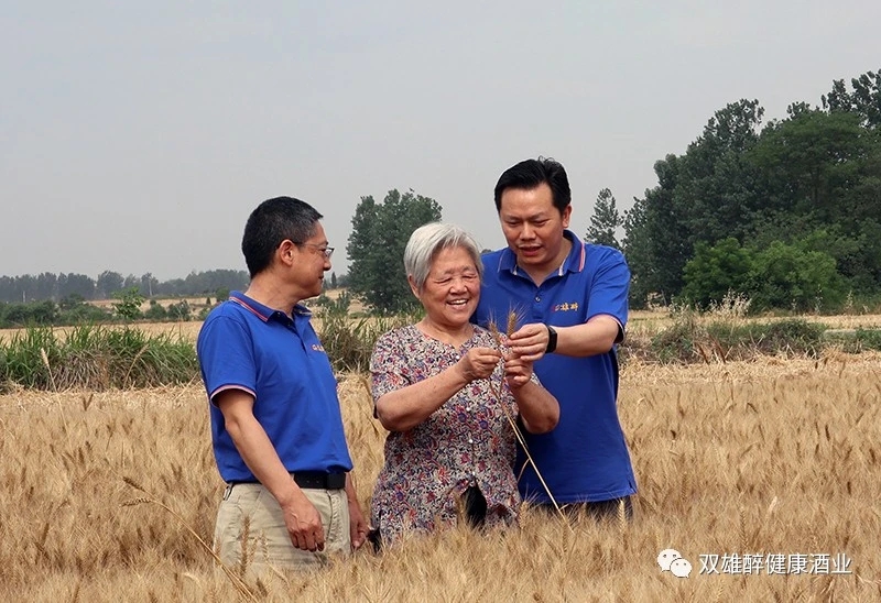 夏宏道:植物益微sod与双雄醉酒健康属性的探讨